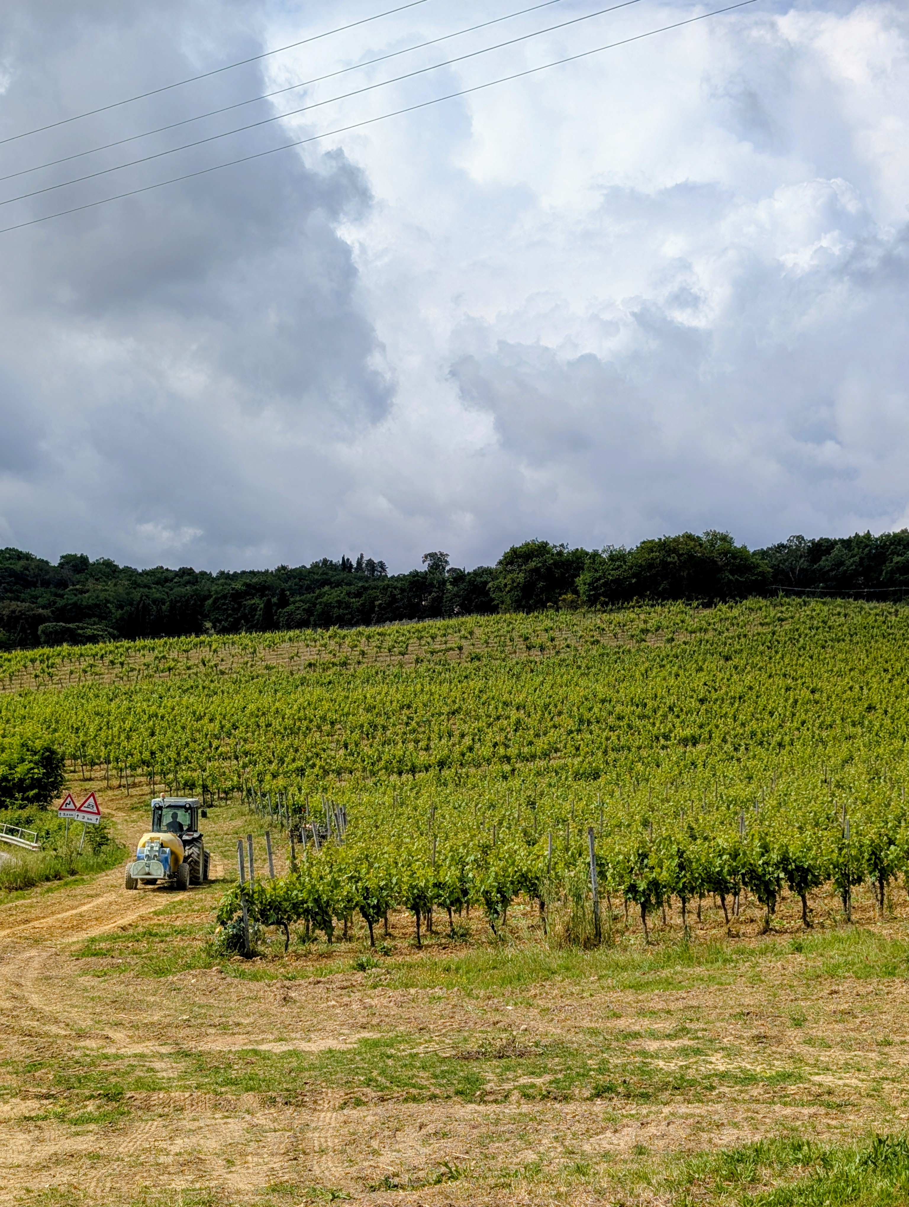 Vineyards and a tractor under a dramatic Tuscan sky